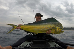 Dorado-2