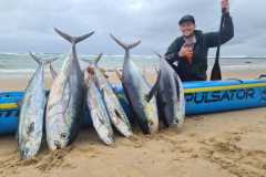 IMG-20220204-WA0015