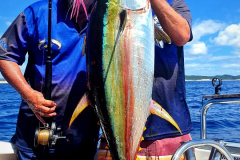 IMG-20220307-WA0046-01