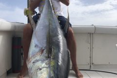 IMG_0239_1-scaled