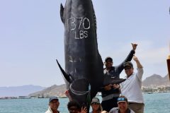IMG_2449-scaled